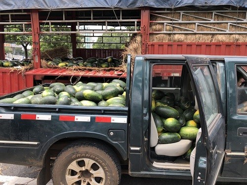 行善最樂，端午之際赫茲曼電力扶貧獻(xiàn)愛心